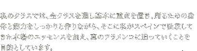 私のクラスでは、全クラスを通し基本に重点を置き、踊るための身体と筋力をしっかりと作りながら、そこに私がスペインで吸収してきた本場のエッセンスを加え、真のフラメンコに迫っていくことを目的としています。